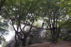park linowy2