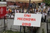 dni miechowa